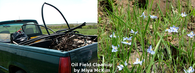 Oil-field Cleanup...