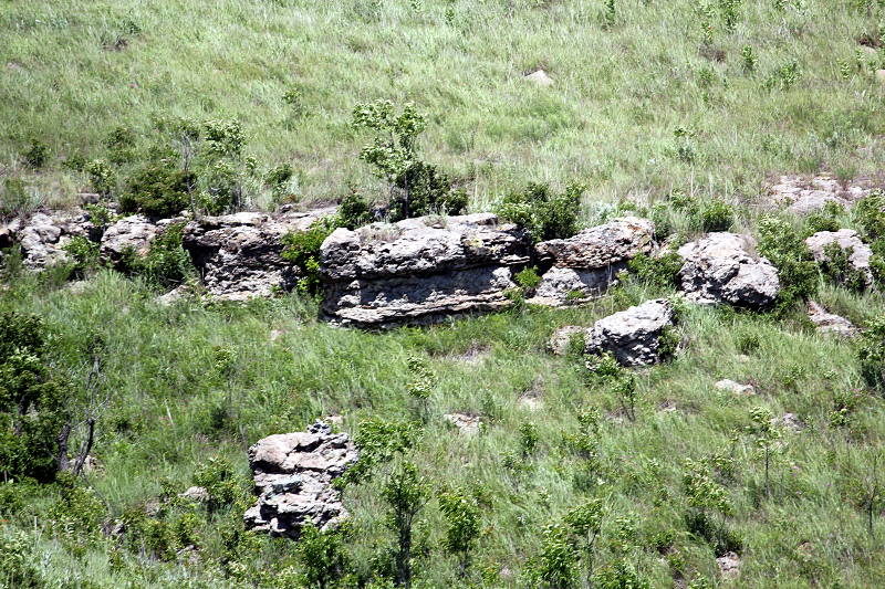 Limestone Outcrop by Dwight Thomas